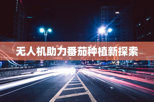 无人机助力番茄种植新探索