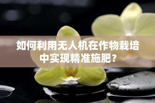 如何利用无人机在作物栽培中实现精准施肥？