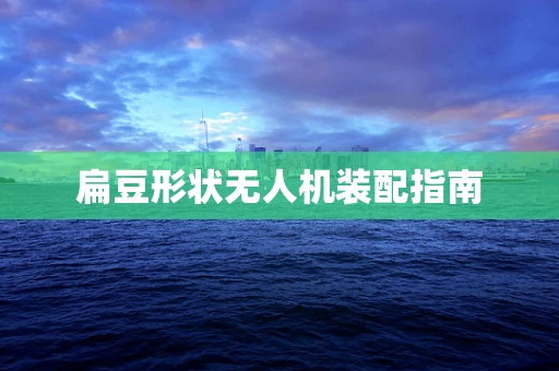 扁豆形状无人机装配指南