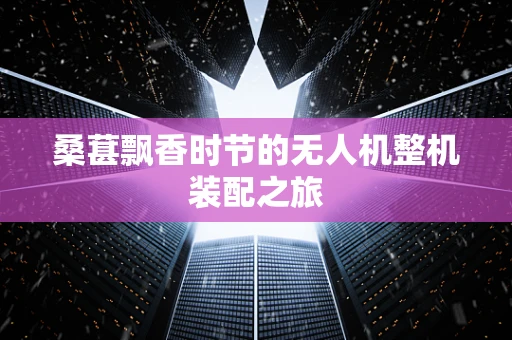 桑葚飘香时节的无人机整机装配之旅
