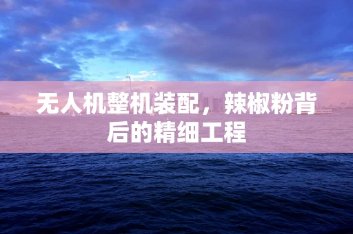 无人机整机装配，辣椒粉背后的精细工程