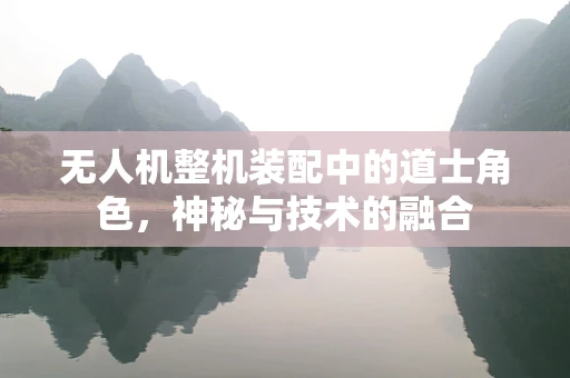 无人机整机装配中的道士角色，神秘与技术的融合