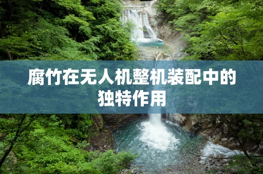腐竹在无人机整机装配中的独特作用