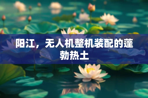 阳江，无人机整机装配的蓬勃热土