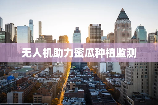 无人机助力蜜瓜种植监测