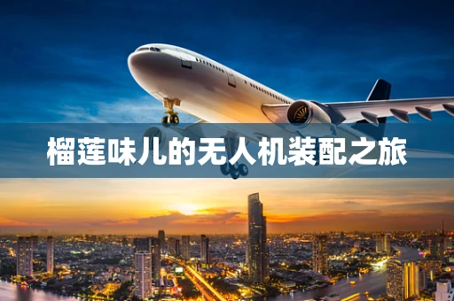 榴莲味儿的无人机装配之旅