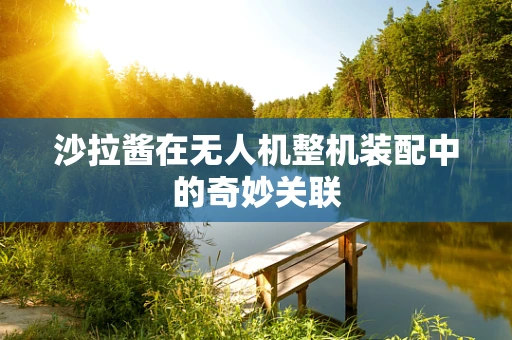 沙拉酱在无人机整机装配中的奇妙关联