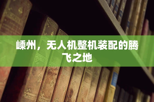 嵊州，无人机整机装配的腾飞之地