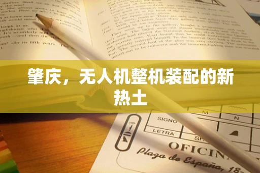 肇庆，无人机整机装配的新热土