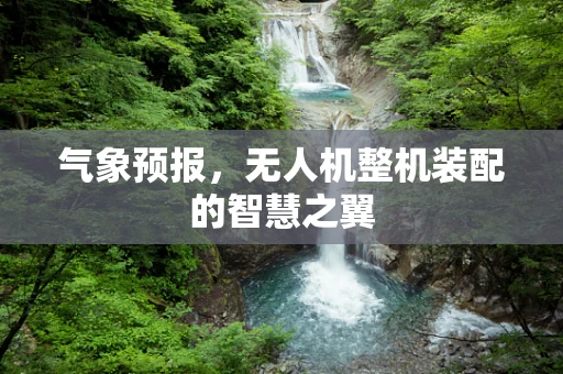 气象预报，无人机整机装配的智慧之翼