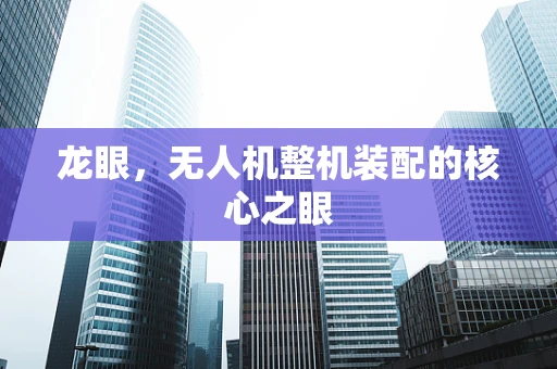 龙眼，无人机整机装配的核心之眼