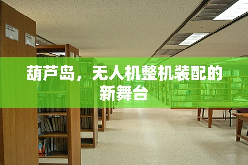 葫芦岛，无人机整机装配的新舞台