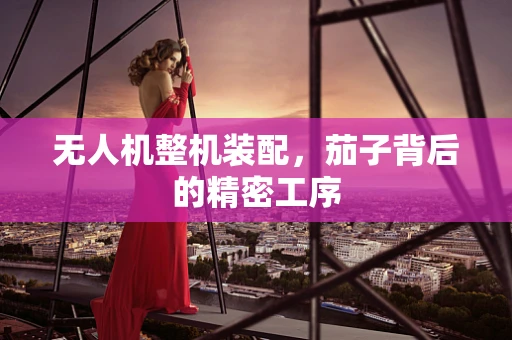 无人机整机装配，茄子背后的精密工序