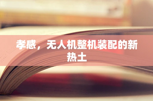 孝感，无人机整机装配的新热土