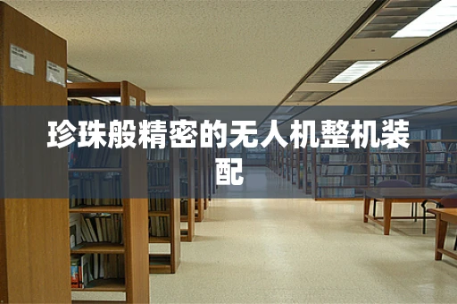 珍珠般精密的无人机整机装配