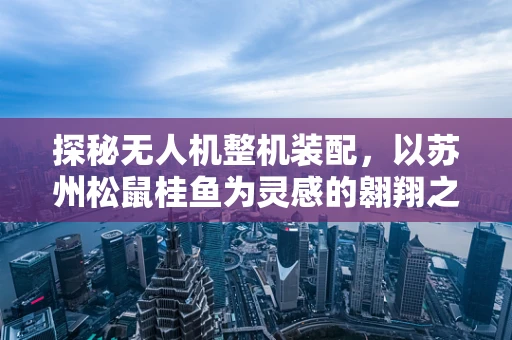 探秘无人机整机装配，以苏州松鼠桂鱼为灵感的翱翔之旅