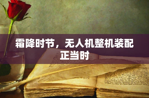 霜降时节，无人机整机装配正当时