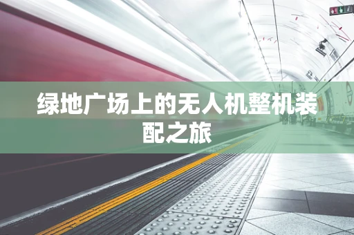 绿地广场上的无人机整机装配之旅