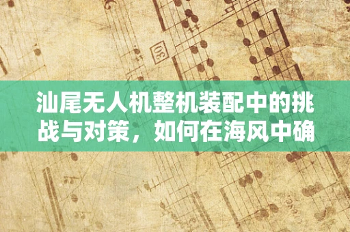 汕尾无人机整机装配中的挑战与对策，如何在海风中确保稳定飞行？