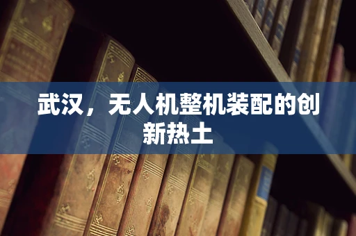 武汉，无人机整机装配的创新热土