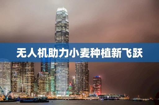 无人机助力小麦种植新飞跃