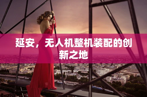 延安，无人机整机装配的创新之地