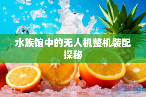 水族馆中的无人机整机装配探秘