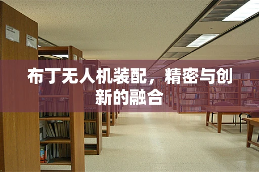 布丁无人机装配，精密与创新的融合