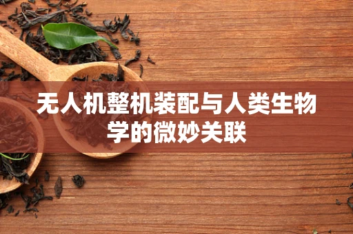 无人机整机装配与人类生物学的微妙关联