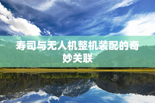 寿司与无人机整机装配的奇妙关联