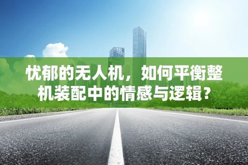 忧郁的无人机，如何平衡整机装配中的情感与逻辑？