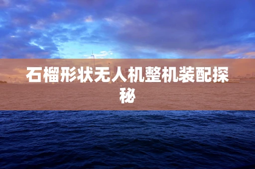石榴形状无人机整机装配探秘