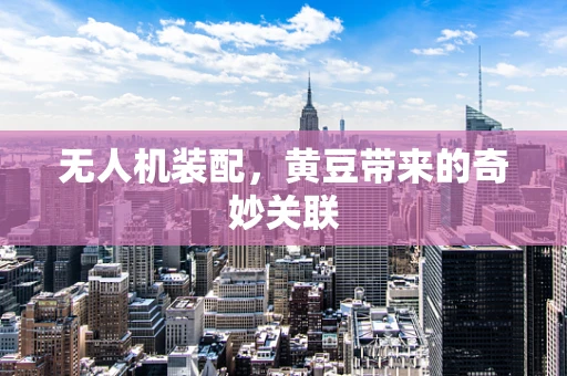 无人机装配，黄豆带来的奇妙关联