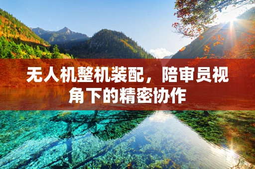 无人机整机装配，陪审员视角下的精密协作