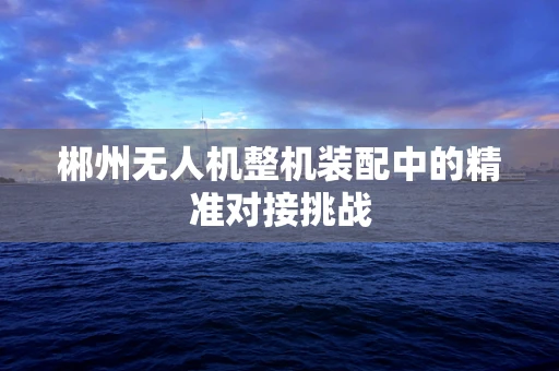 郴州无人机整机装配中的精准对接挑战