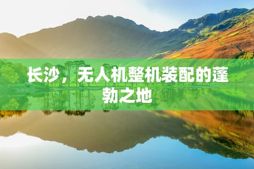 长沙，无人机整机装配的蓬勃之地