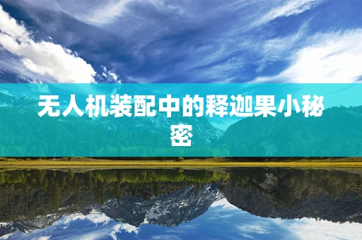 无人机装配中的释迦果小秘密