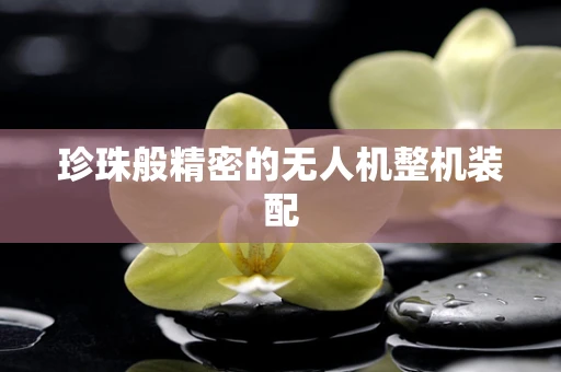 珍珠般精密的无人机整机装配