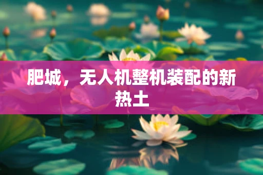 肥城，无人机整机装配的新热土