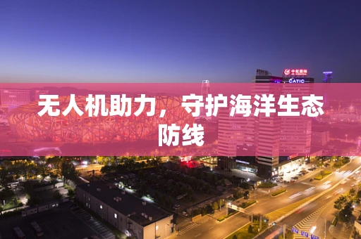 无人机助力，守护海洋生态防线