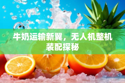 牛奶运输新翼，无人机整机装配探秘