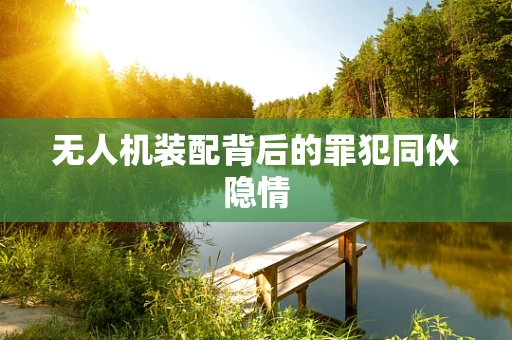 无人机装配背后的罪犯同伙隐情