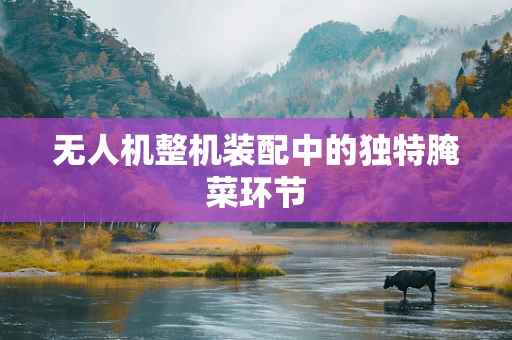 无人机整机装配中的独特腌菜环节