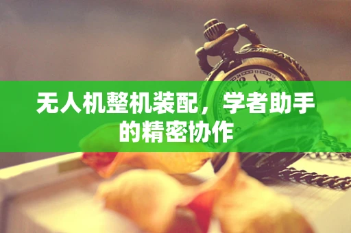 无人机整机装配，学者助手的精密协作