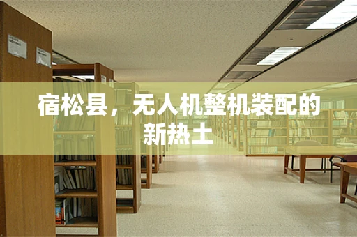 宿松县，无人机整机装配的新热土