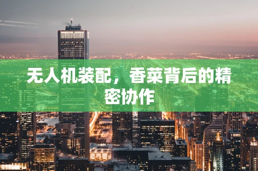 无人机装配，香菜背后的精密协作
