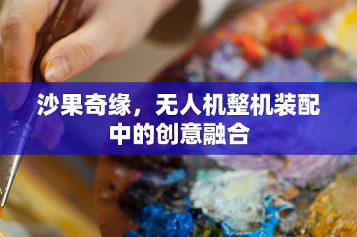 沙果奇缘，无人机整机装配中的创意融合