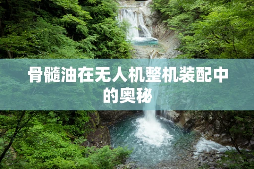 骨髓油在无人机整机装配中的奥秘