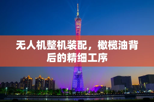 无人机整机装配，橄榄油背后的精细工序