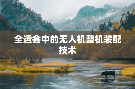 全运会中的无人机整机装配技术